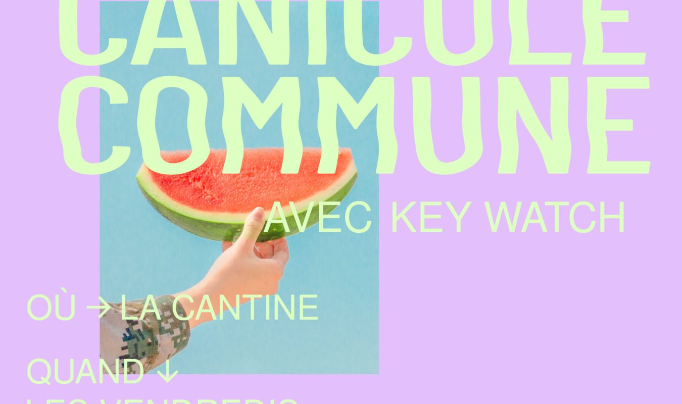 Image de l'article CANICULE COMMUNE