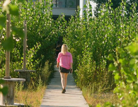 Image les moments chez Aire Commune